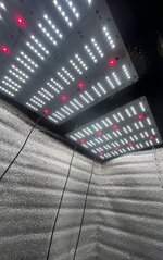 5 — копия.JPG 5 — копия.JPG